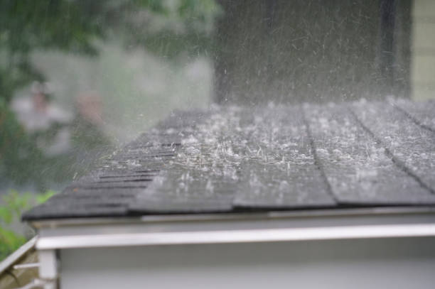 Best Roof Leak Repair  in Grand Junction, CO